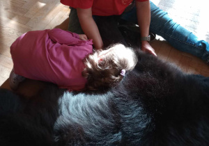 Dogoterapia