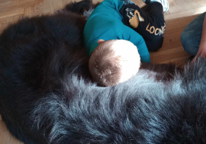 Dogoterapia