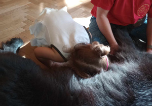 Dogoterapia