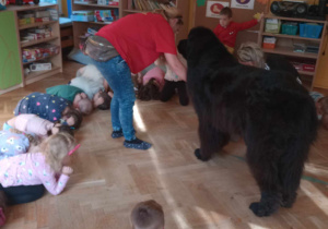 Dogoterapia