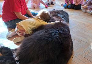 Dogoterapia