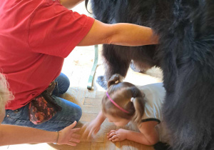 Dogoterapia