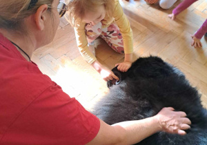 Dogoterapia