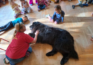 Dogoterapia
