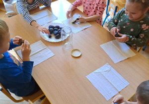 "Śliwkowe zajęcia"