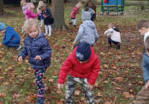dzieci zbierają kasztany