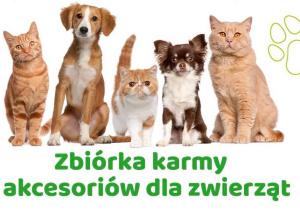 zbiórka karmy i akcesoriów dla zwierząt
