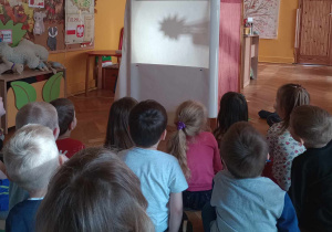 Teatrzyk cieni