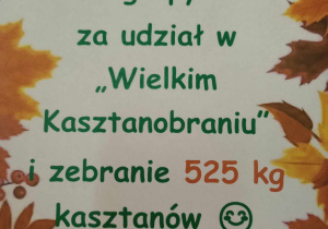 Dzień Dyni