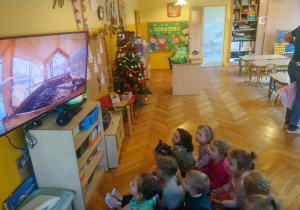 Rozpoznajemy ptaki w "wirtualnym karmniku"