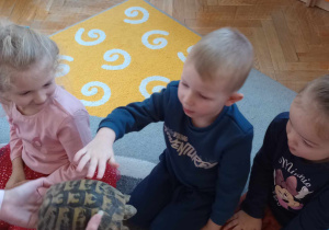 Odwiedziny żółwia i gekona