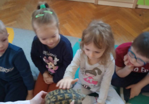 Odwiedziny żółwia i gekona