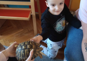 Odwiedziny żółwia i gekona