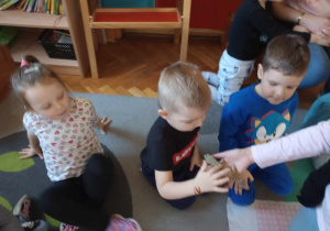 Odwiedziny żółwia i gekona