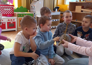 chłopiec głaszcze żółwia