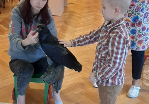 Wizyta kruka Kazika