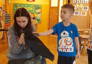 Wizyta kruka Kazika