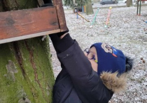 Dzieci wkładają jedzenie do karmników.