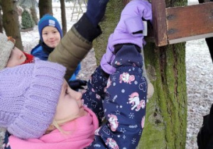 Dzieci wkładają jedzenie do karmników.