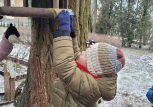 Dzieci wkładają jedzenie do karmników.