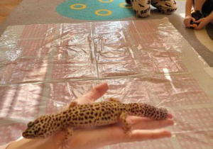 Warsztaty ze zwierzakami