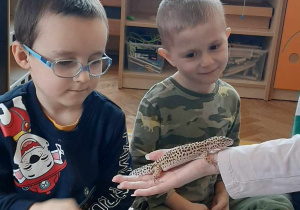 Dziecko głaszcze zwierzątko