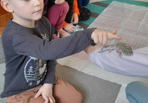 Dziecko głaszcze zwierzątko