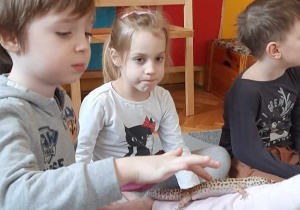 Dziecko głaszcze zwierzątko