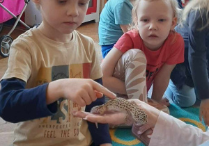 Dziecko głaszcze zwierzątko