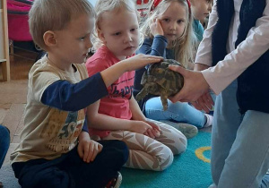 Dziecko głaszcze zwierzątko