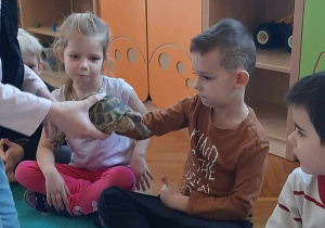 Dziecko głaszcze zwierzątko