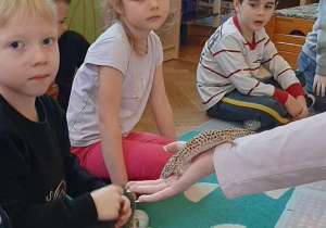 Dziecko głaszcze zwierzątko