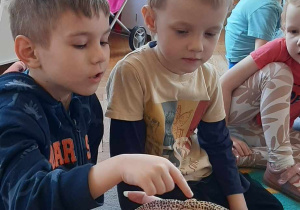 Dziecko głaszcze zwierzątko