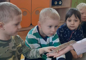 Dziecko głaszcze zwierzątko