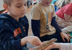 Dziecko głaszcze zwierzątko