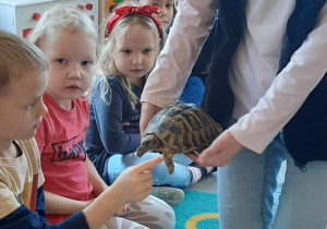 Dziecko głaszcze zwierzątko
