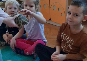 Dziecko głaszcze zwierzątko