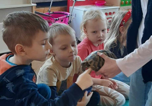 Dziecko głaszcze zwierzątko