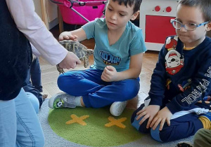 Dziecko głaszcze zwierzątko