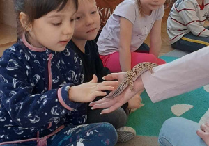 Dziecko głaszcze zwierzątko