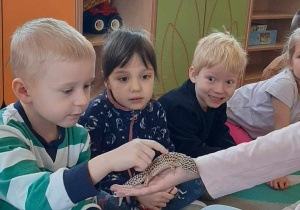 Dziecko głaszcze zwierzątko