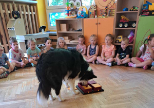 Dogoterapia