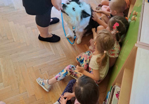 Dogoterapia