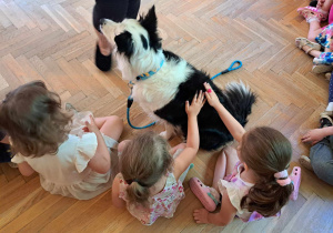 Dogoterapia