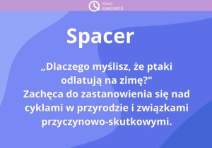 Pytania warte zadania