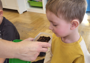 Dzieci rozpoznają elementy koszyczka za pomocą zapachu