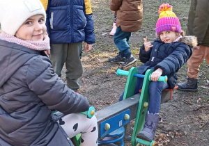 dzieci bujają się na konikach