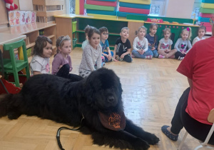 Dogoterapia