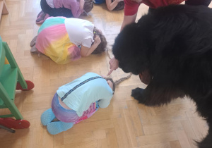 Dogoterapia
