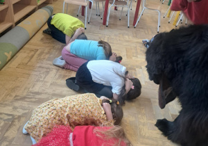 Dogoterapia